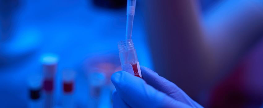 Laboratory assistant manipulates the biomaterial in a modern laboratory